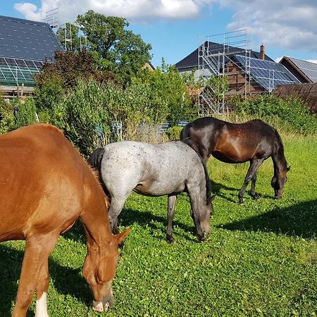 Ruhezone Apartman Bremke  Kültér fotó